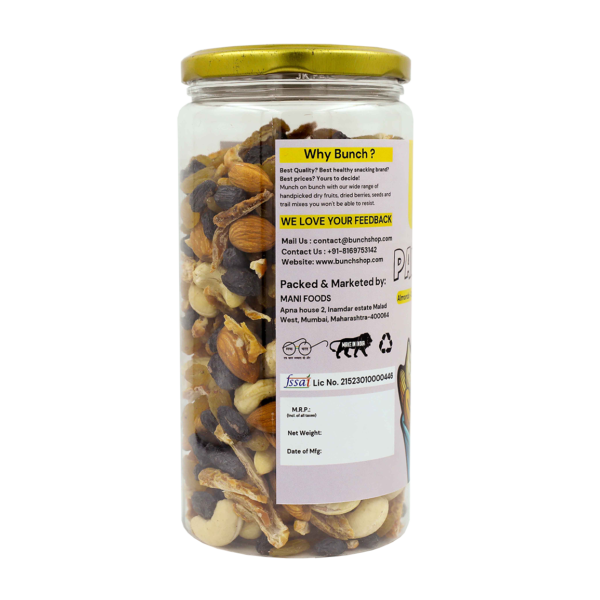 Panchmeva - Dryfruit Mix | 500gm Jar - Image 3