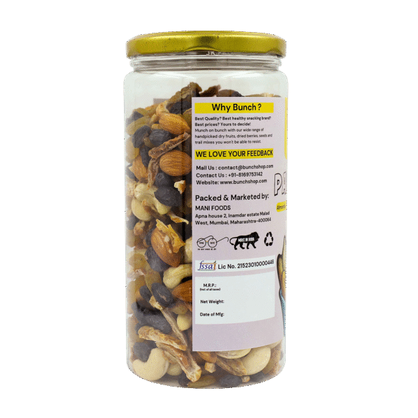 Panchmeva - Dryfruit Mix | 500gm Jar